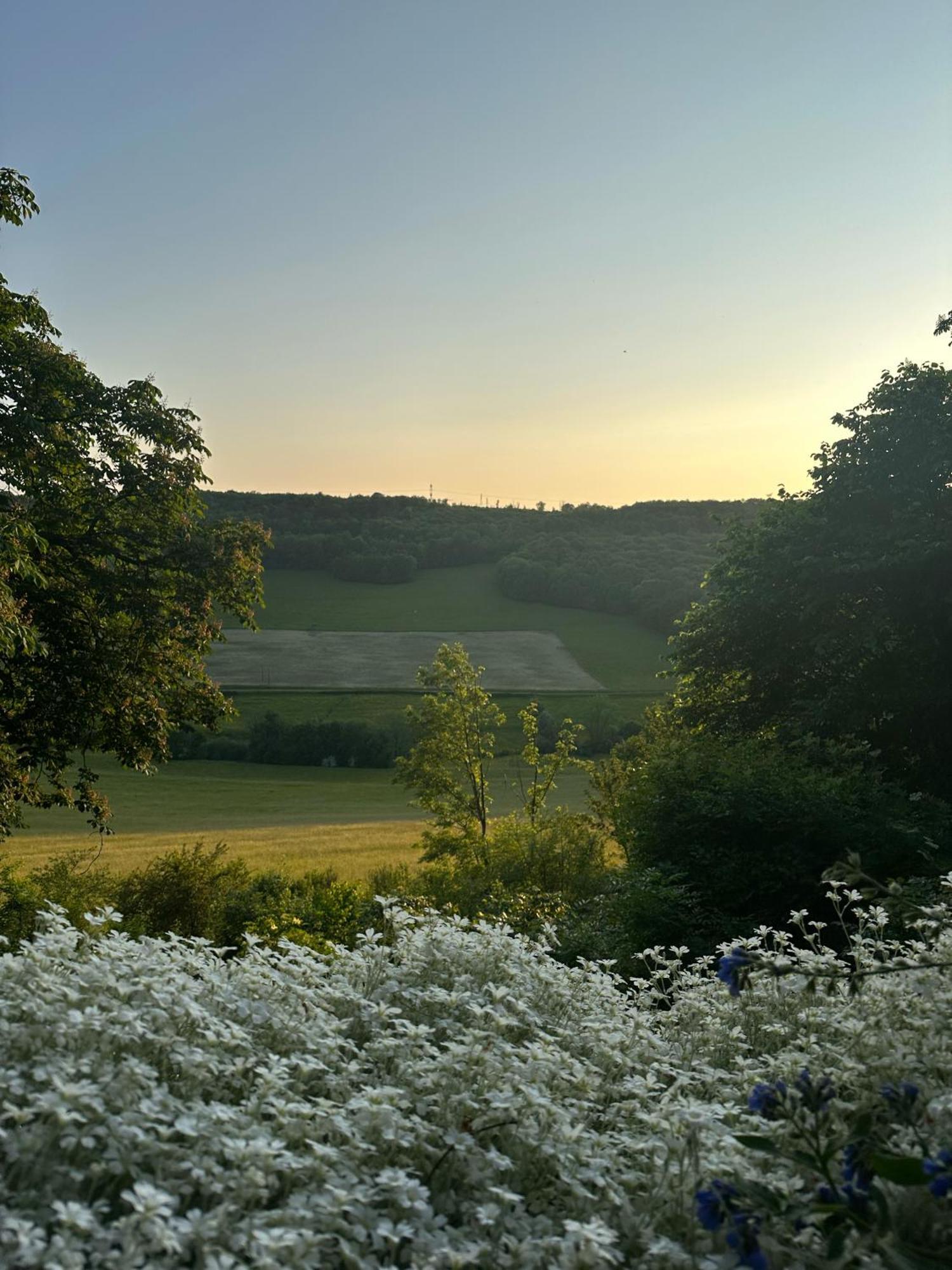 Chateau De Champrenault, Voyagez Dans Le Temps Exterior photo